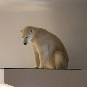 Meet your Posher, Isaiah